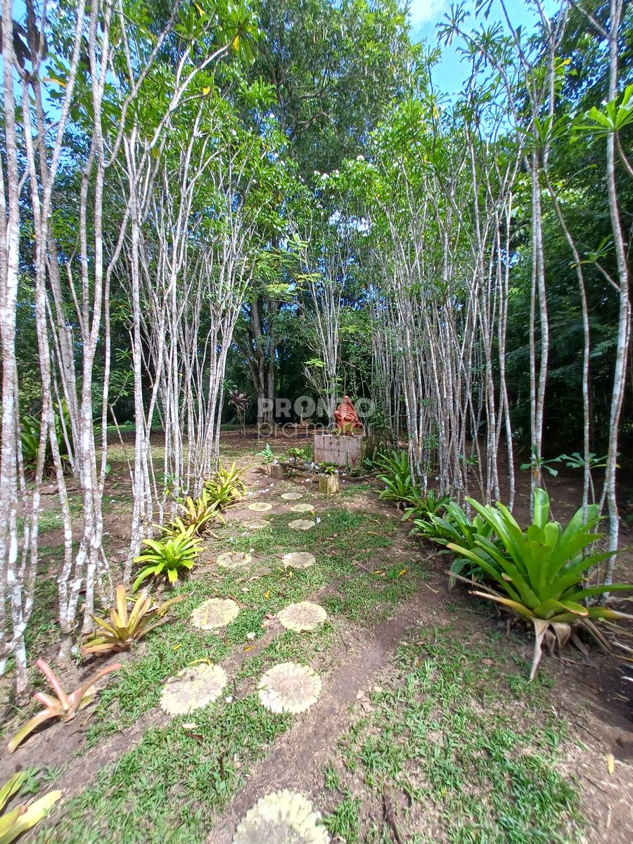 Chácara, 4 quartos - Foto 3